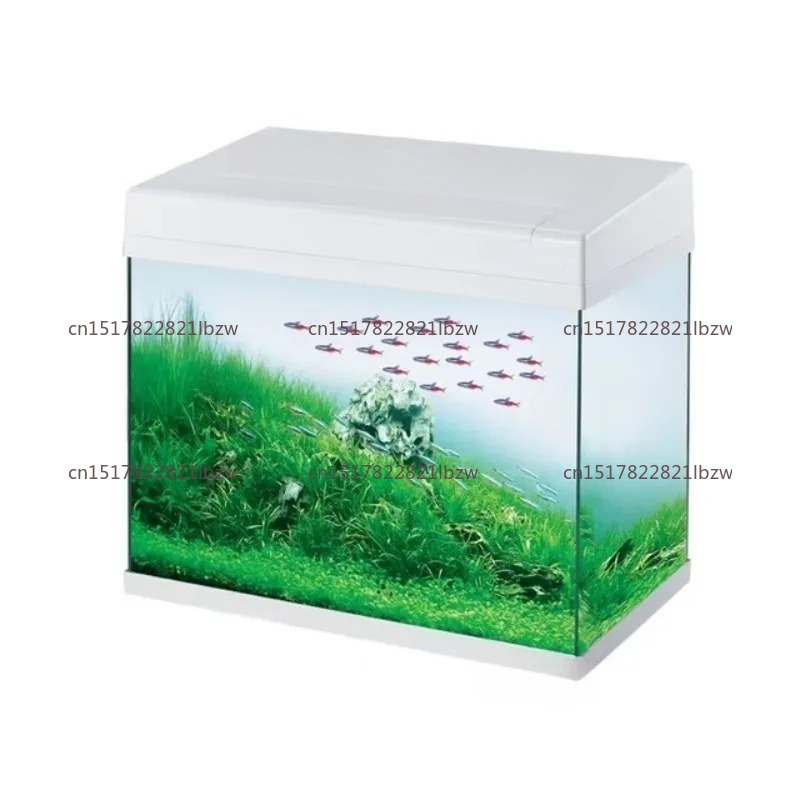 Aquarium Mini Fish - Aquário de Vidro Mini para Mesa,