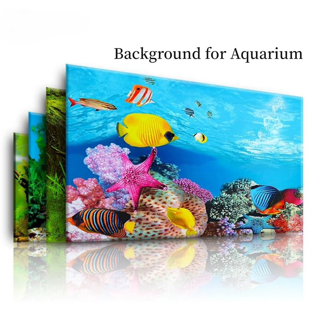 Aquarium Fish Cichlid - Fundo aquário 3d adesivo cartaz decoração