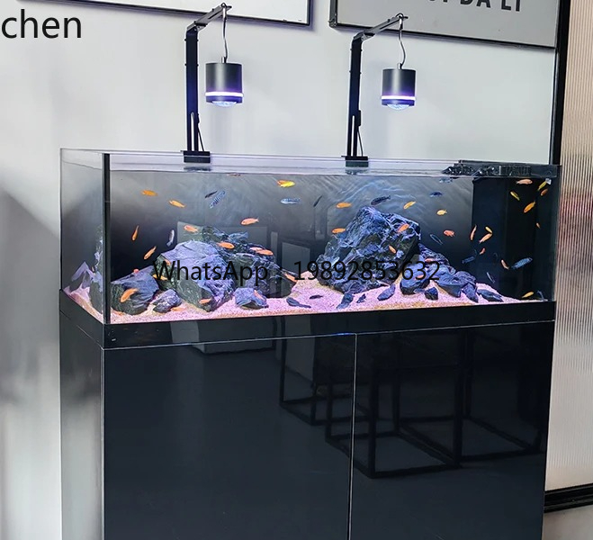 Wild Aquarium Fish - Tanque de fluxo nativo selvagem coleção