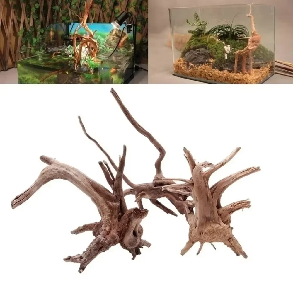 Aquarium Fish Gallery - (15-20cm) Decoração de Aquário em Madeira