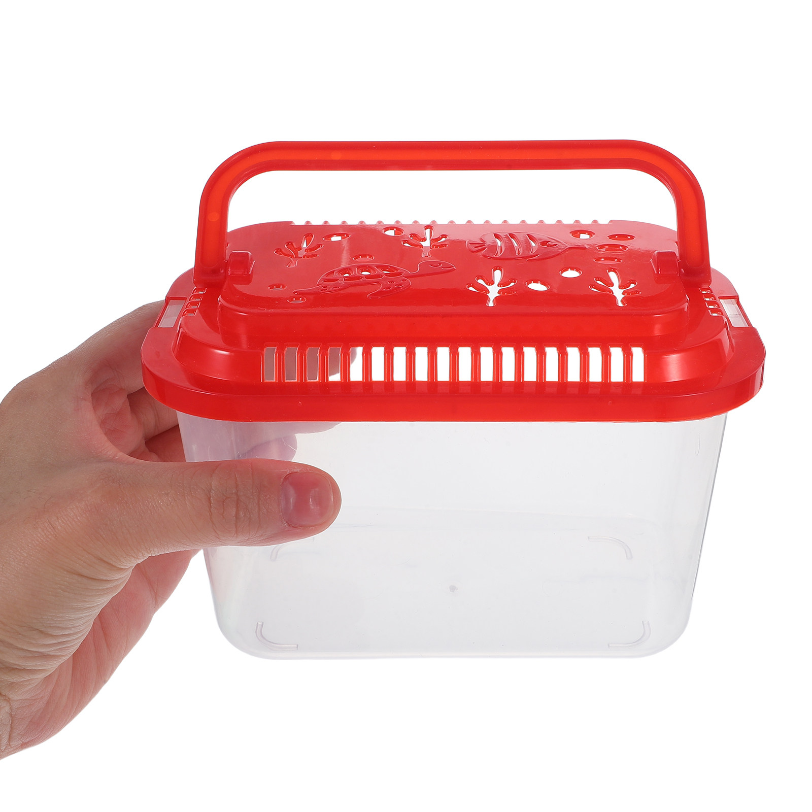 Aquarium Mini Fish - Conjunto de 5 Recipientes Portáteis para