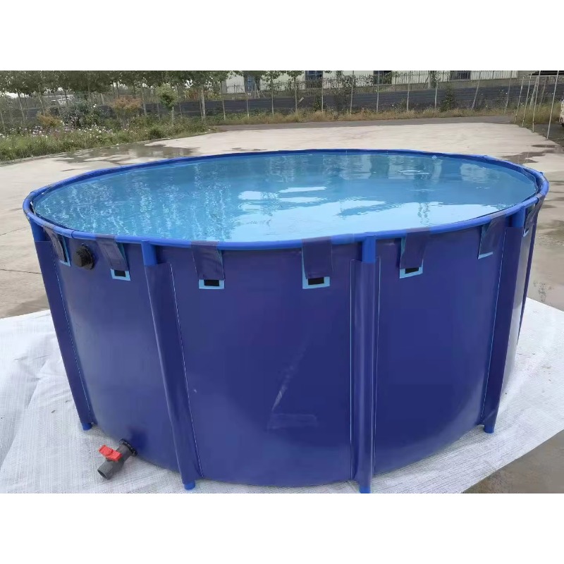 Aquarium Fish Popular - Atacado: Tanque de Peixes de PVC