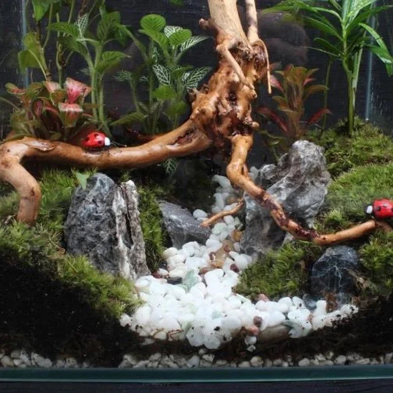 Natural Tree Tronco Driftwood  - Aquarium Fish Cichlid avaliação e preço