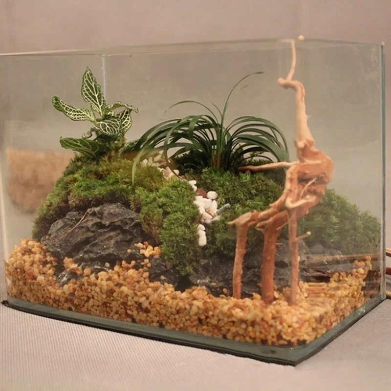 Natural Tree Tronco Driftwood  - Aquarium Fish Cichlid avaliação e preço