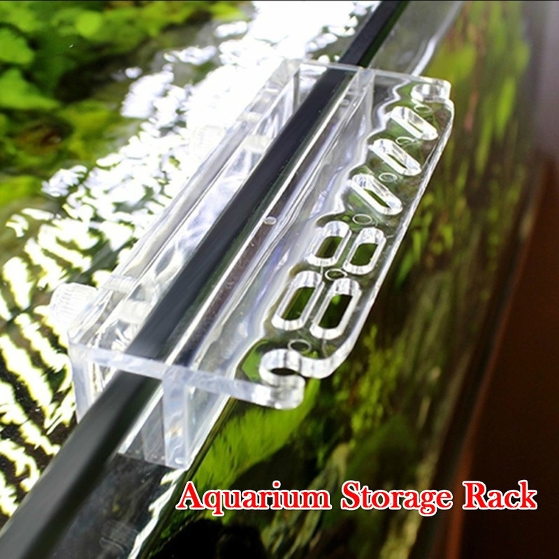 1 pçs novo aquário planta ferr - Aquarium Fish Gallery avaliação e preço