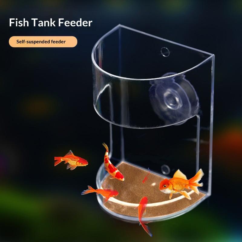 Popular 1/3/5 Peças Bandeja Fl - Aquarium Fish Popular avaliação e preço