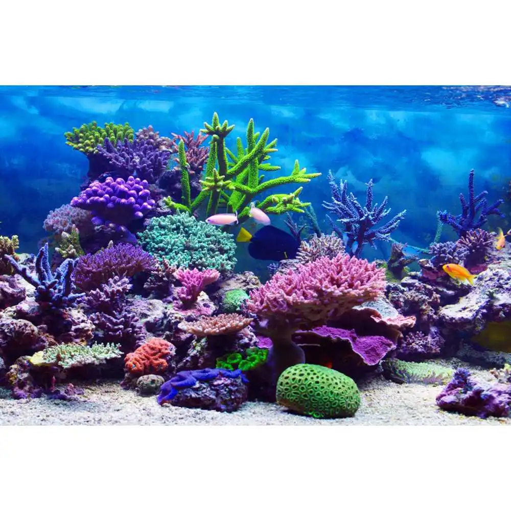 Cenário Subaquático do Fundo d - Aquarium Fish World avaliação e preço