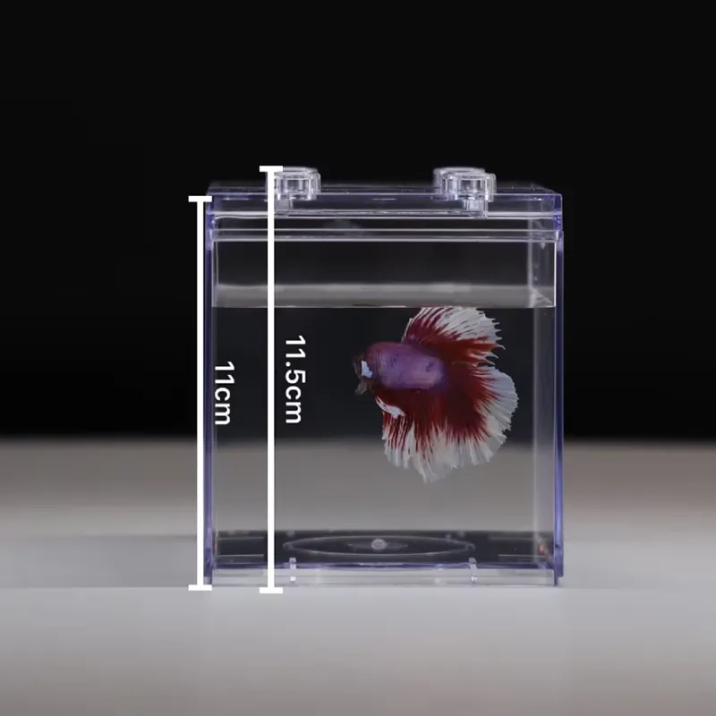 Mini Aquário Relaxlines para D - Aquarium Fish Light avaliação e preço