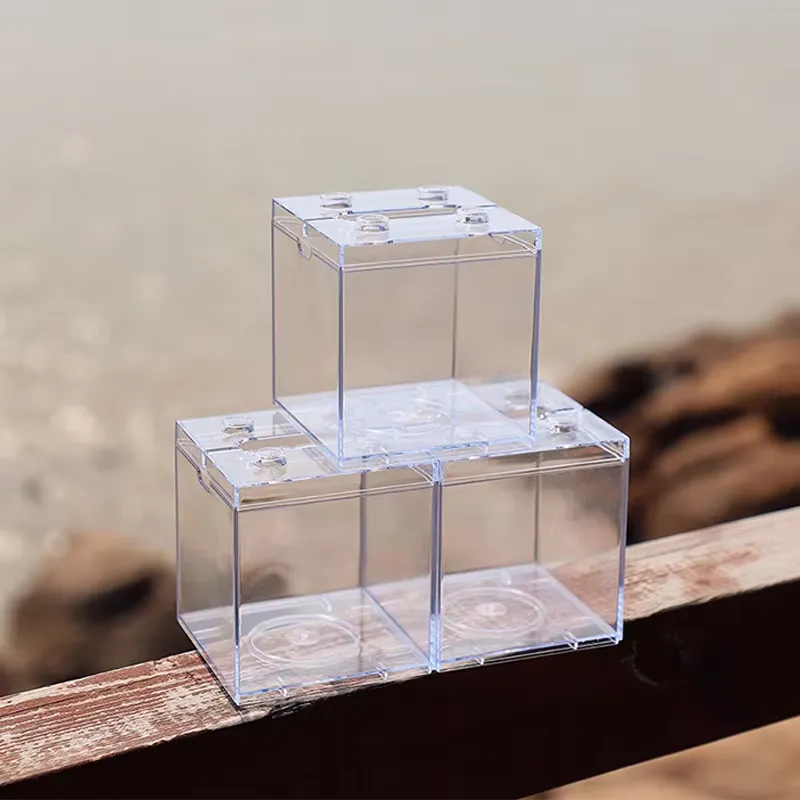 Mini Aquário Relaxlines para D - Aquarium Fish Light avaliação e preço