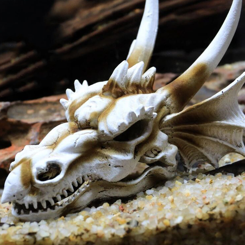 Aquário tanque de peixes dinos - Aquarium Fish Popular avaliação e preço