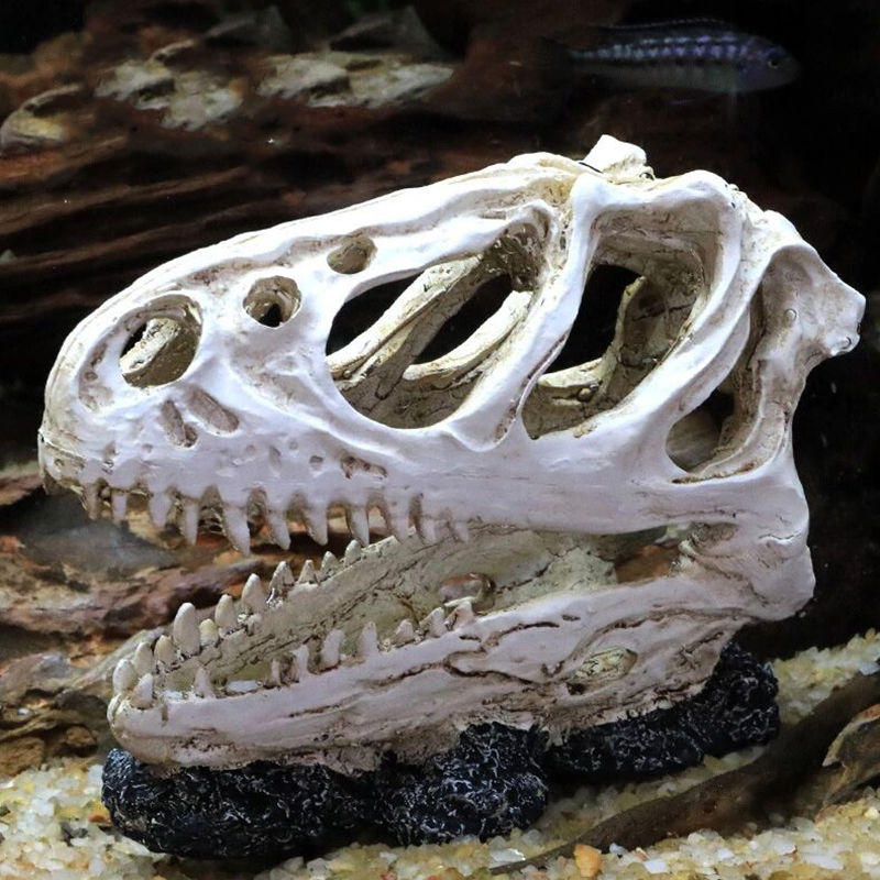 Aquário tanque de peixes dinos - Aquarium Fish Popular avaliação e preço