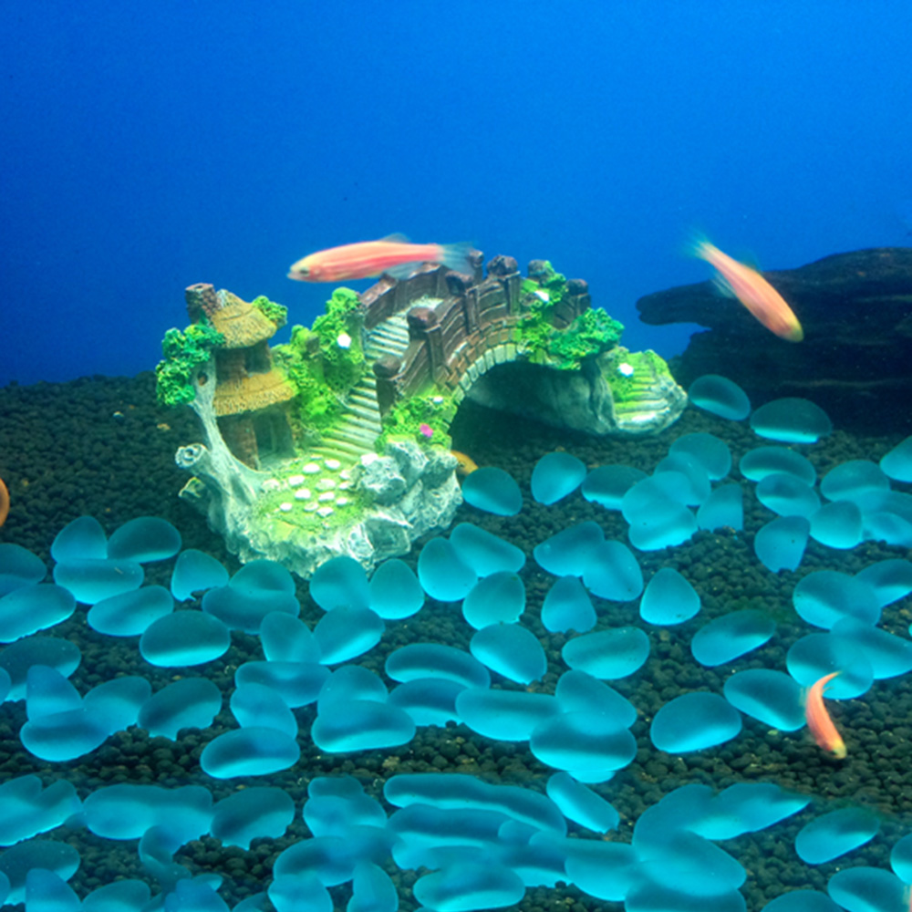 Acessórios para aquário, árvor - Aquarium Fish Cichlid avaliação e preço