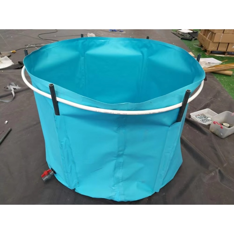 Atacado: Tanque de Peixes de P - Aquarium Fish Popular avaliação e preço