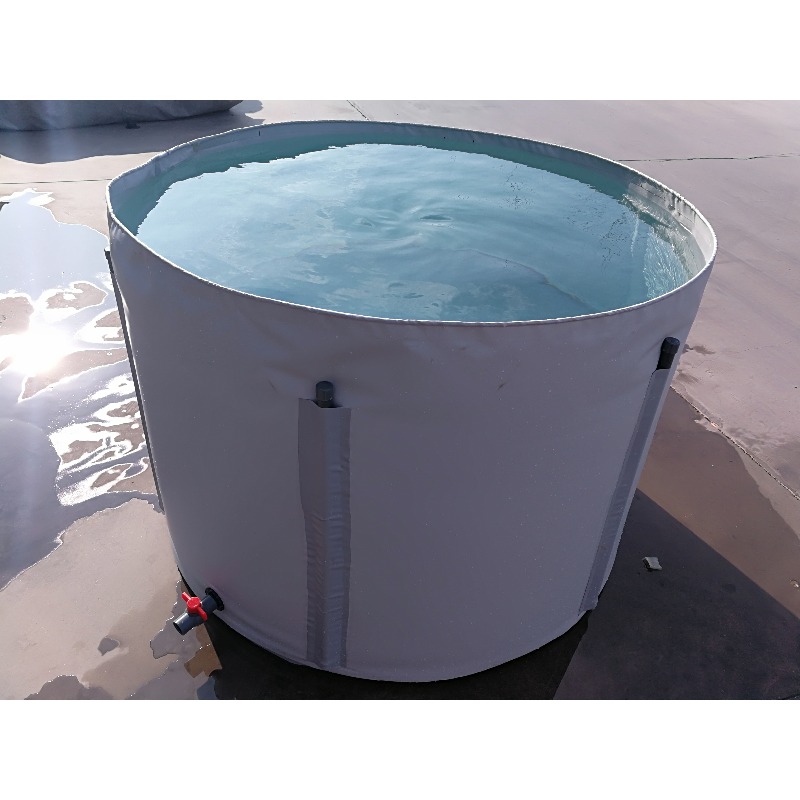 Atacado: Tanque de Peixes de P - Aquarium Fish Popular avaliação e preço