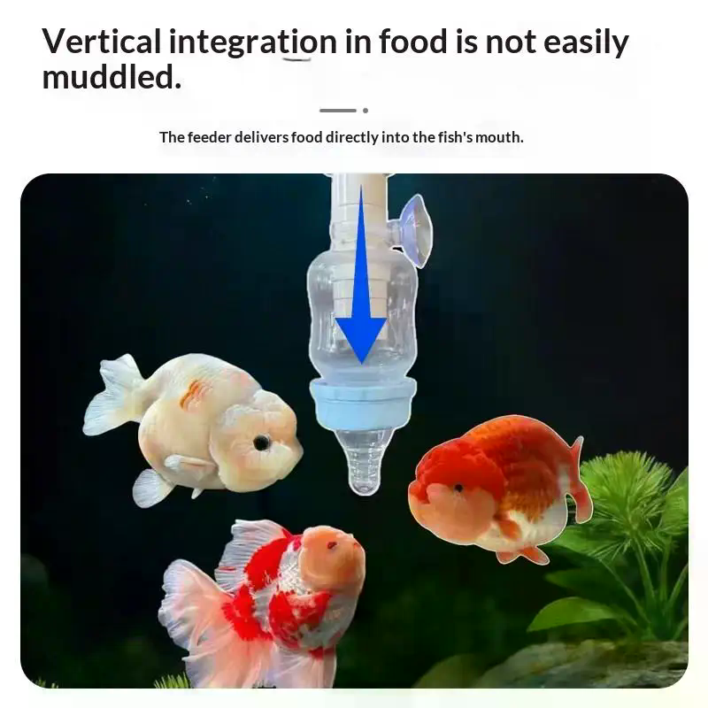 Alimentador de Peixes Popular  - Aquarium Fish Popular avaliação e preço