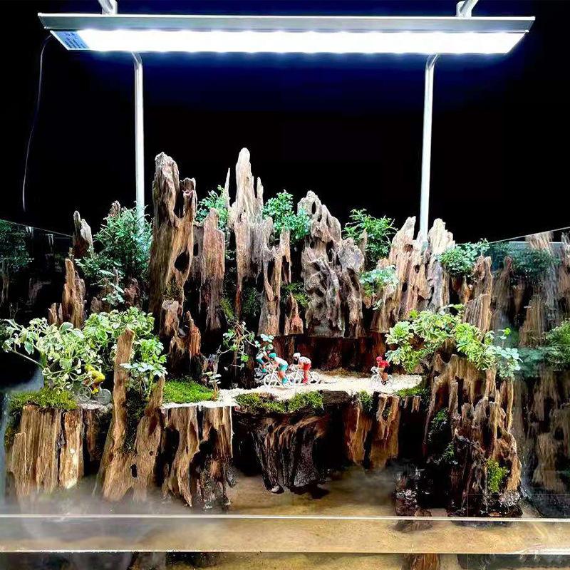 △   Decoração de Aquário em Ma - Aquarium Fish Cichlid avaliação e preço